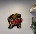 University of Maryland Terrapins Wall Rug