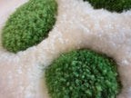 Pocket Rugs